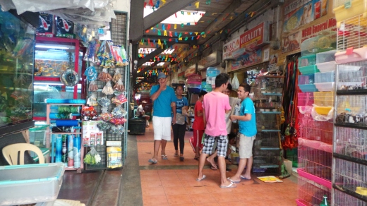 Inside Cartimar Pet Shop Alley